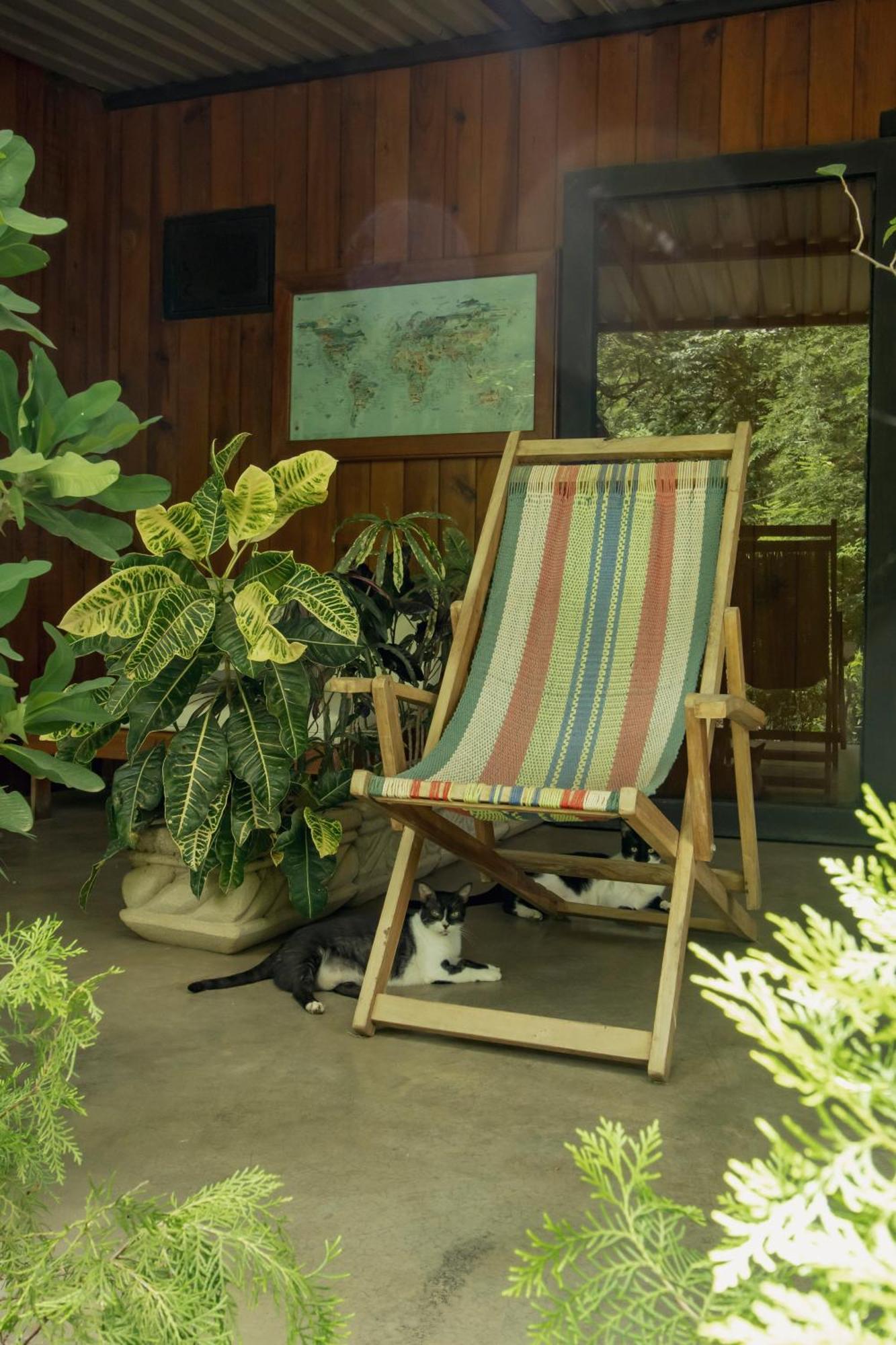 Mola Mola Surf Popoyo Bed & Breakfast Luaran gambar
