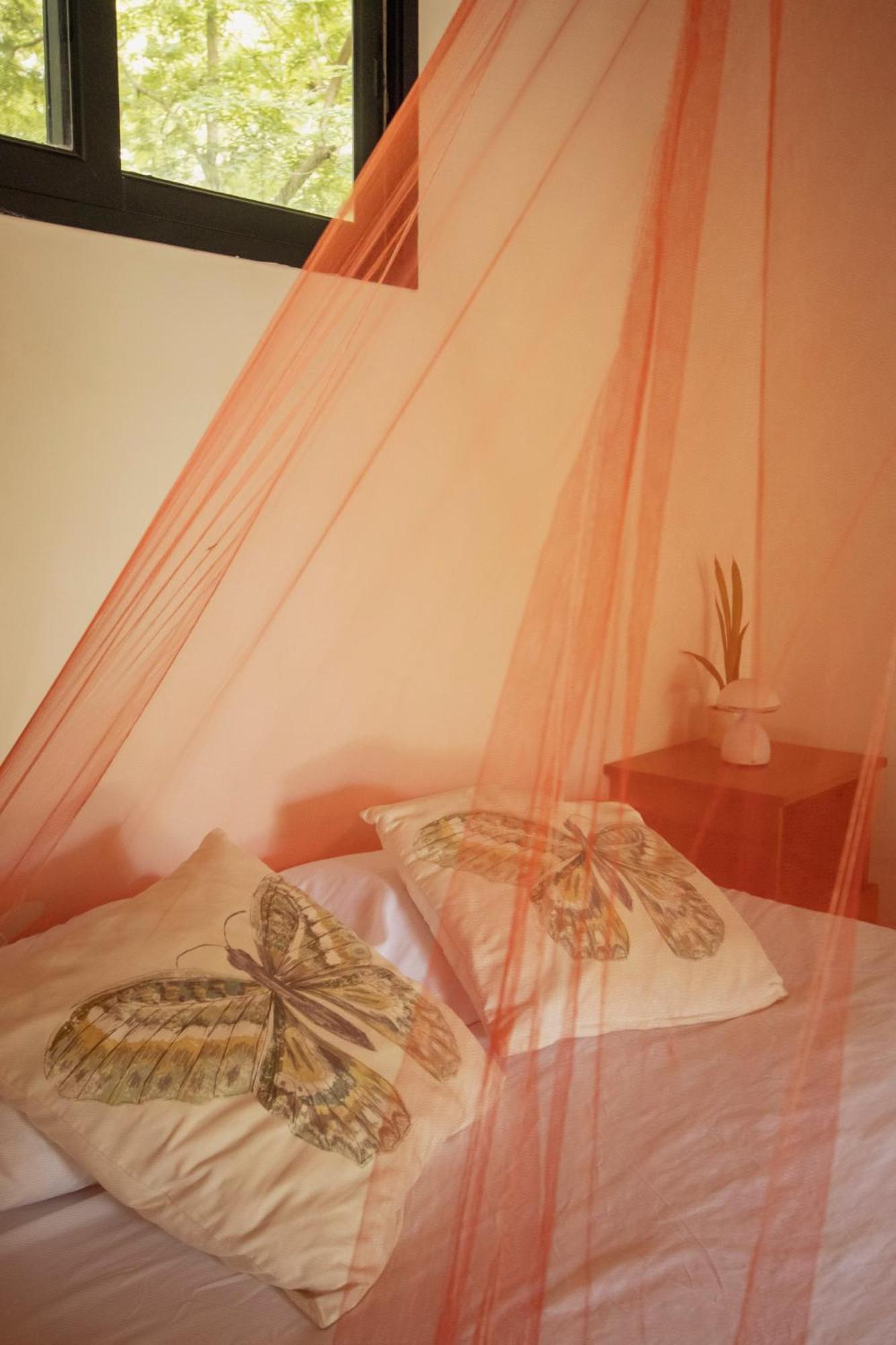 Mola Mola Surf Popoyo Bed & Breakfast Luaran gambar